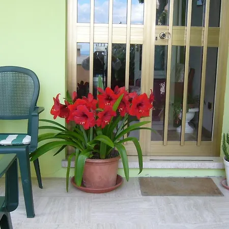 Hotel Canapini