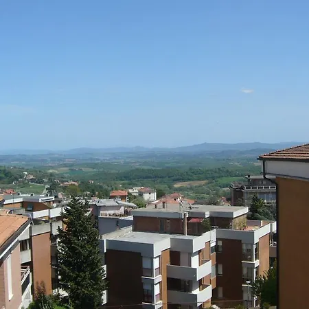 Canapini *