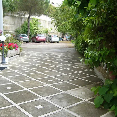 Canapini *